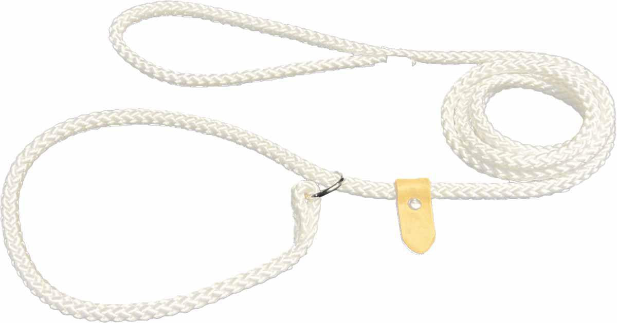 Alac Koppel Utställning Retriever Ring & Stopp Vit