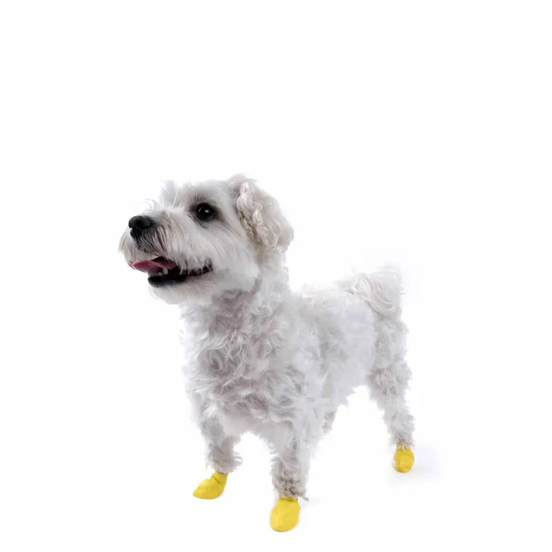 Pawz Hundsko, Xx-Small , 3,8Cm Gul 12St