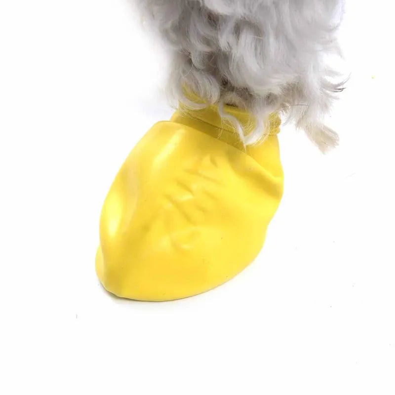 Pawz Hundsko, Xx-Small , 3,8Cm Gul 12St