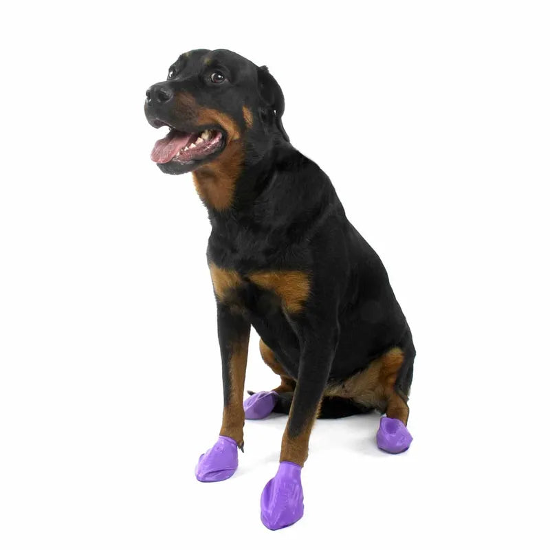 Pawz Hundsko Large 10,2Cm Lila 12St