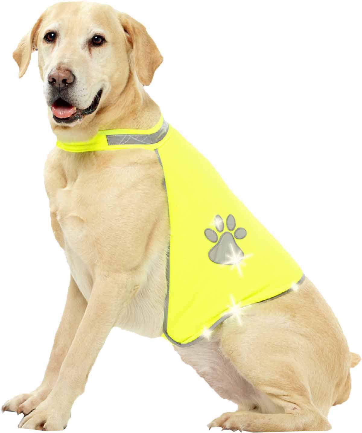 Reflexväst Hund Dogsafety M