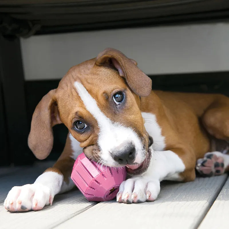 Kong Puppy Activityball S Ø6,5Cm