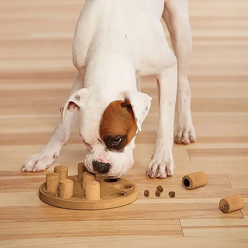 Dog Smart Komposit Orange