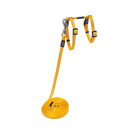 Rogz Alleycat Sele Med Koppel Xs Gul 8Mm 19.8-30Cm