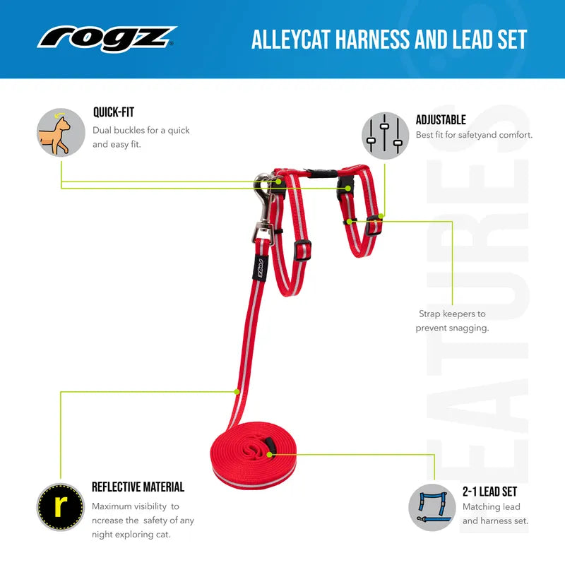 Rogz Alleycat Sele Med Koppel Xs Turkos8mm