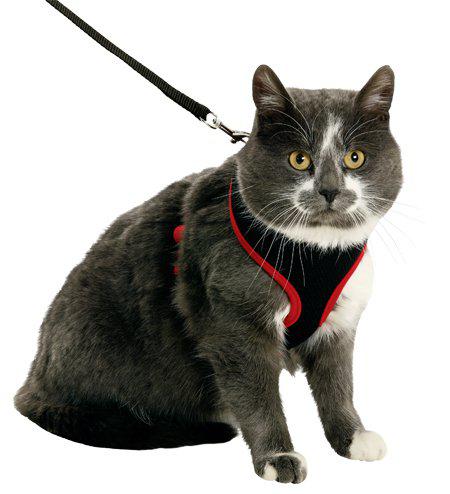 Kattsele Nät Med Koppel Kattunge S Svart/Röd 10Mmx108Cm