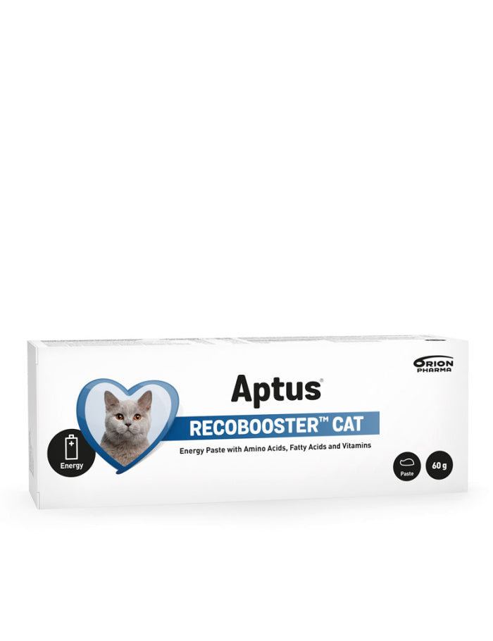 Aptus Recovery Booster Cat Pasta 60gr