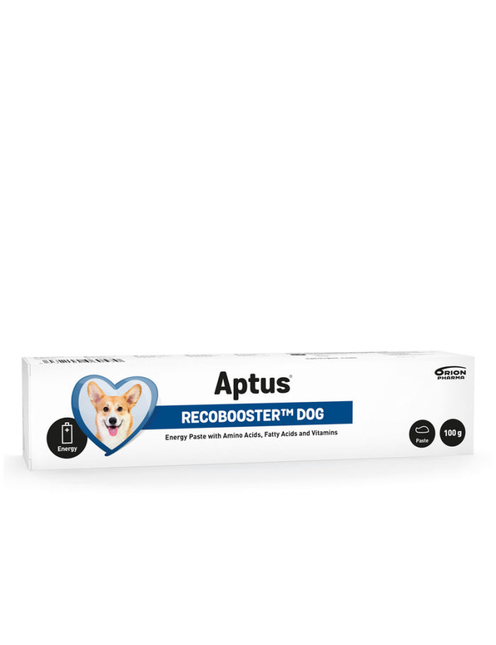 Aptus Recovery Booster Dog 100gr