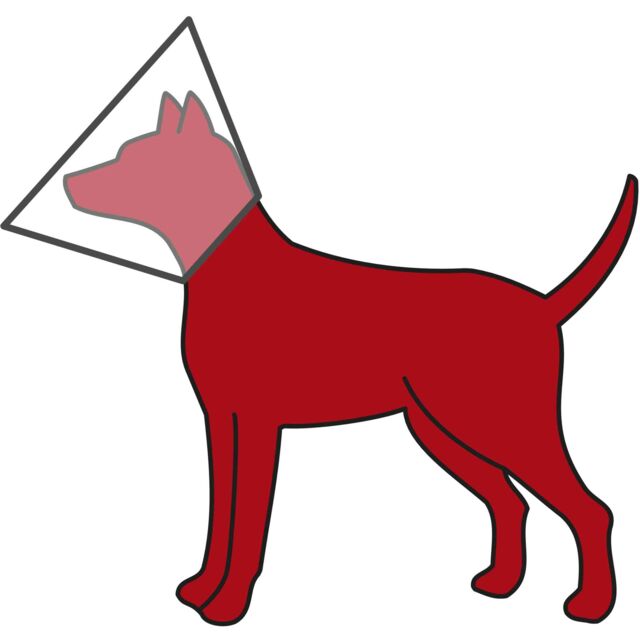 Protective Collar with hook and loop fastener