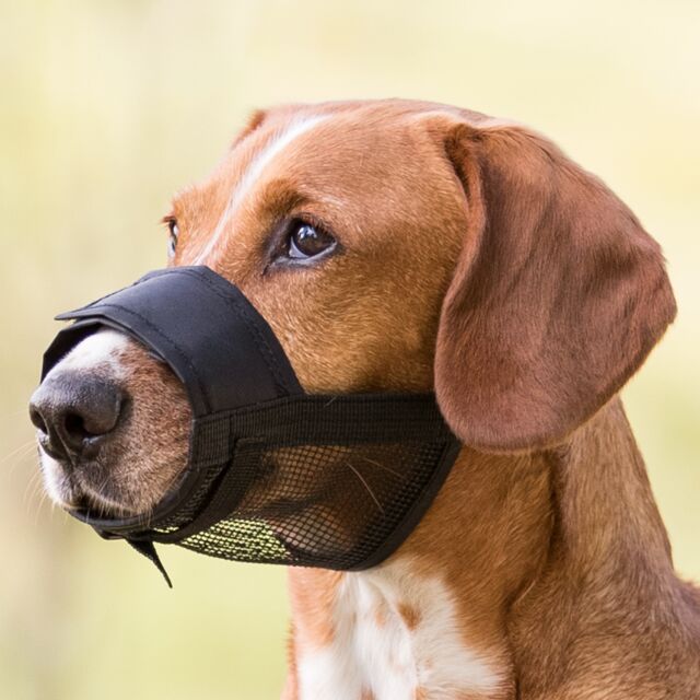 Muzzle Loop with net insert