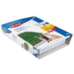 Soft Grass