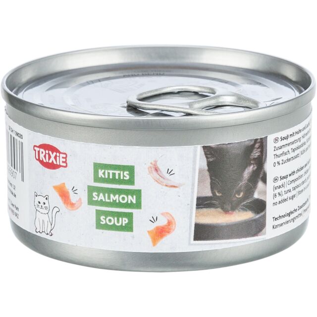 Salmon Soup
