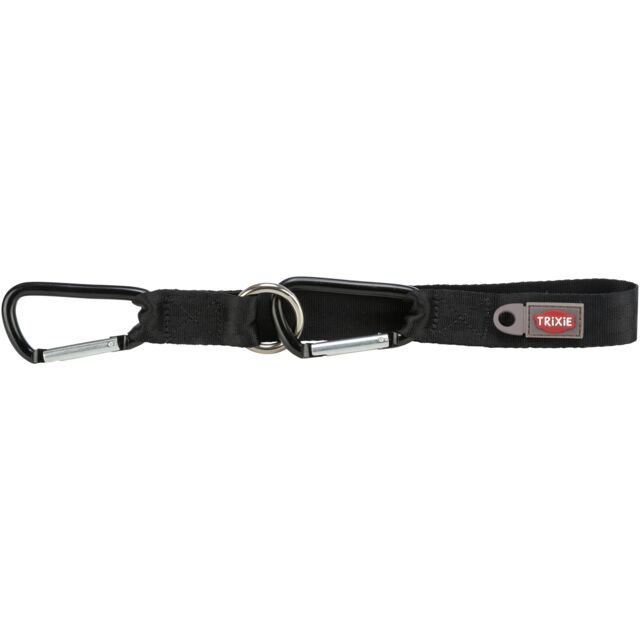 Seatbelt loop, universal