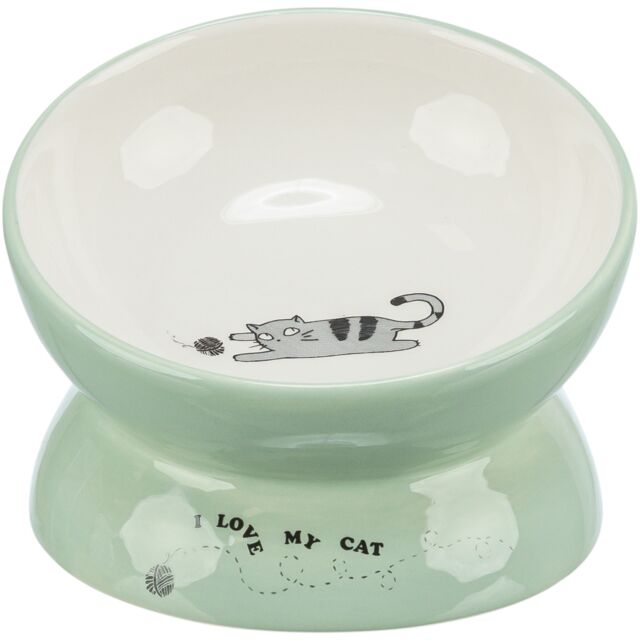Ceramic Bowl