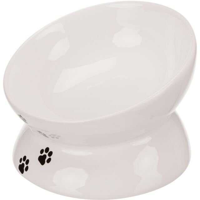 Ceramic Bowl