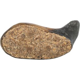 Buffalo Horn filled with buffalo pizzle and tendon