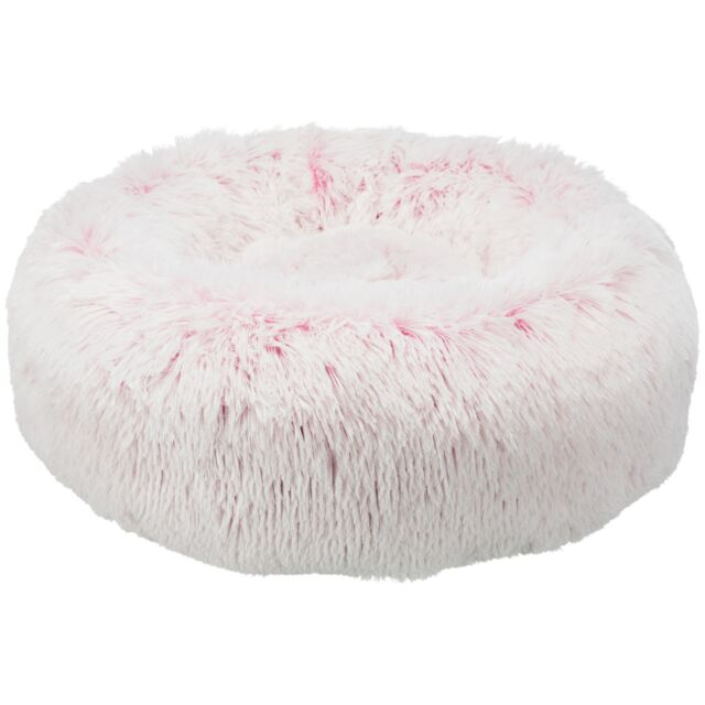 Bed Harvey