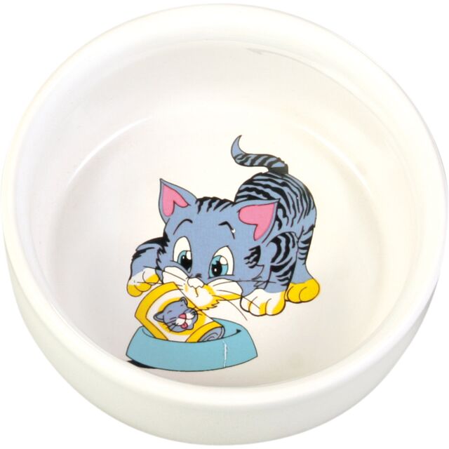 Ceramic Bowl