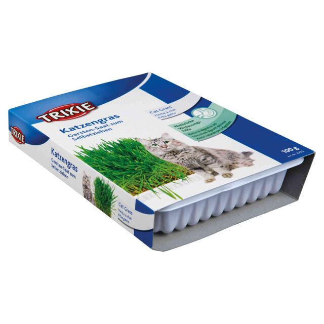 Cat Grass