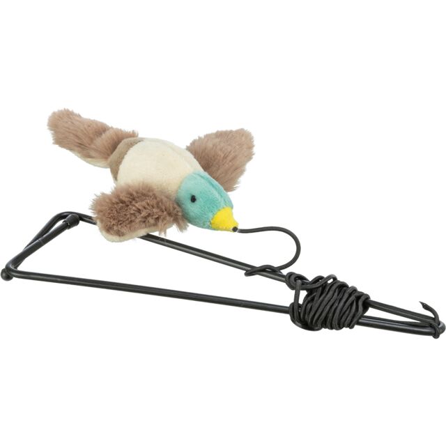 Bird for Doorframes