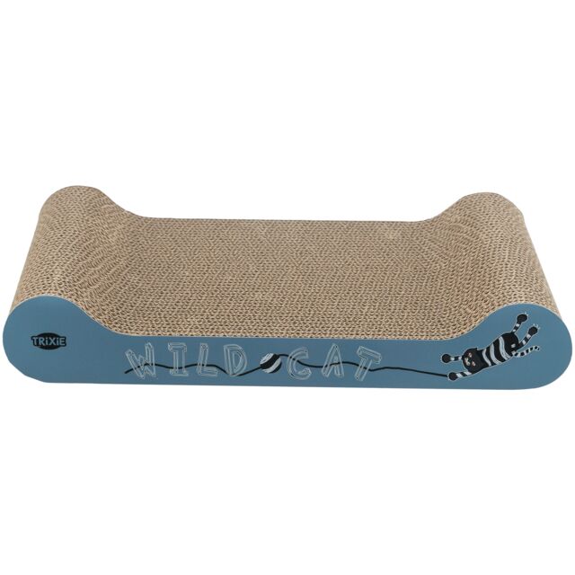 Scratching Cardboard Wild Cat
