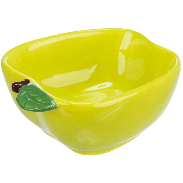 Ceramic Bowl