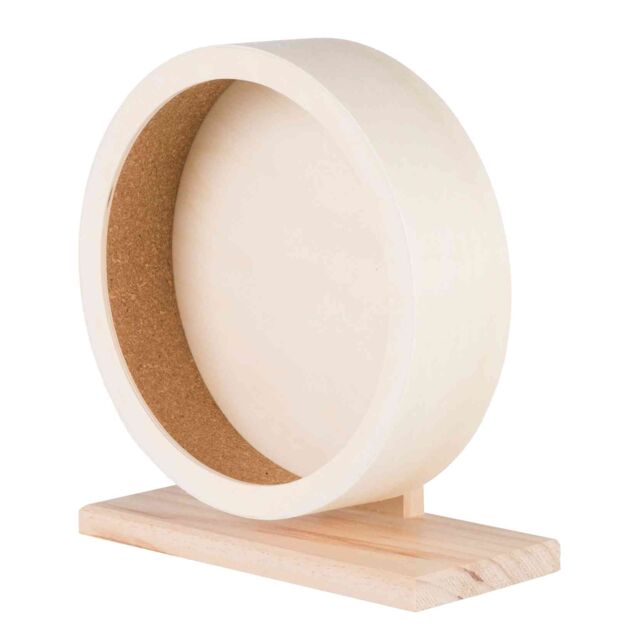 Exercise Wheel