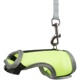 Soft Harness with Lead
