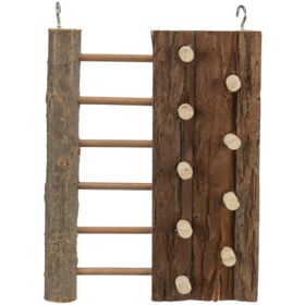 Climbing Wall
