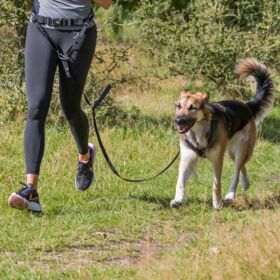 Waist Belt with Lead for Medium-Sized and Large Dogs