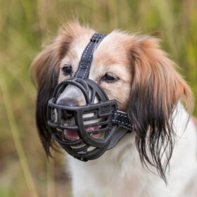 Muzzle Muzzle Flex