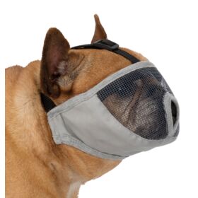 Muzzle for short-nosed breeds