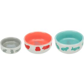 Ceramic Bowl