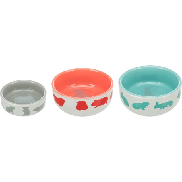 Ceramic Bowl