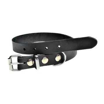 Läderhalsband Prag svart 12mm/35cm