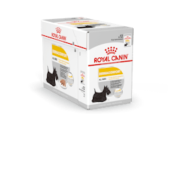 Royal Canin Hund Dermacomfort Loaf 12x85g