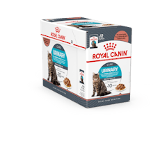 Royal Canin Katt Urinary Care Gravy 12x85 g