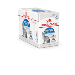 Royal Canin Katt Indoor Jelly 12x85g